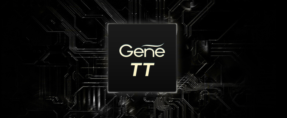 Chipset - Gene.TT Voopoo