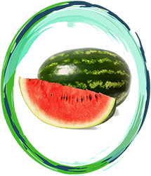 Watermelon Innovation Υγρα Αναπληρωσης